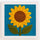 Sunny Petal Bloom